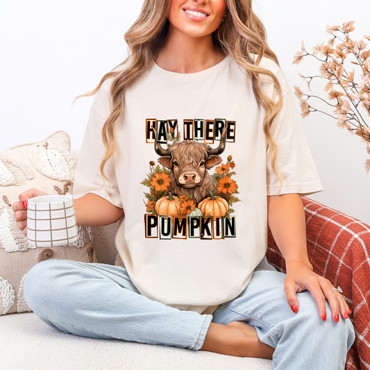 🍂 Hay There Pumpkin – Fall Highland Cow Tee 🍂